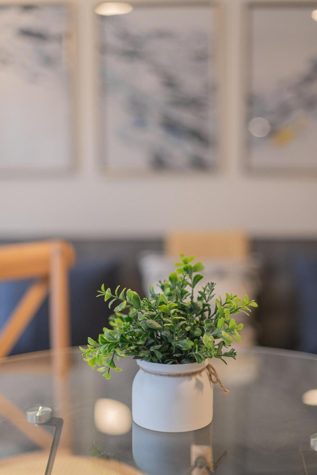 Un Oasis En El Centro De Apartamento