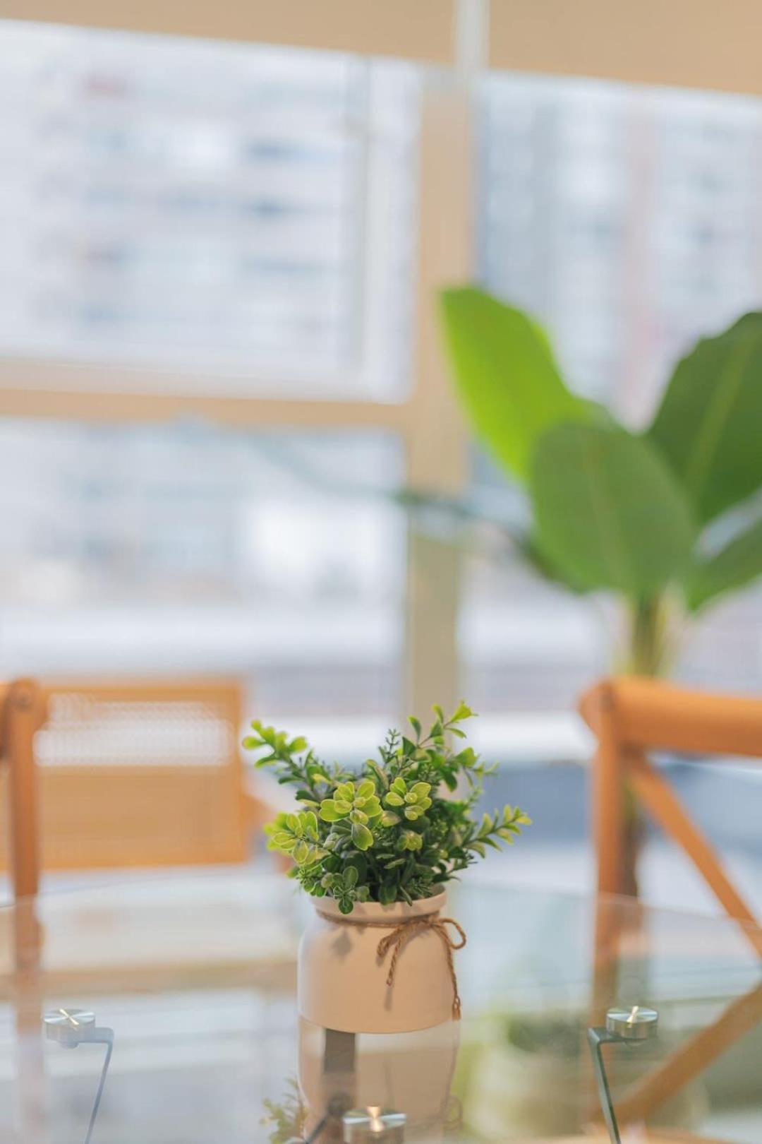 Apartamento Un Oasis En El Centro De