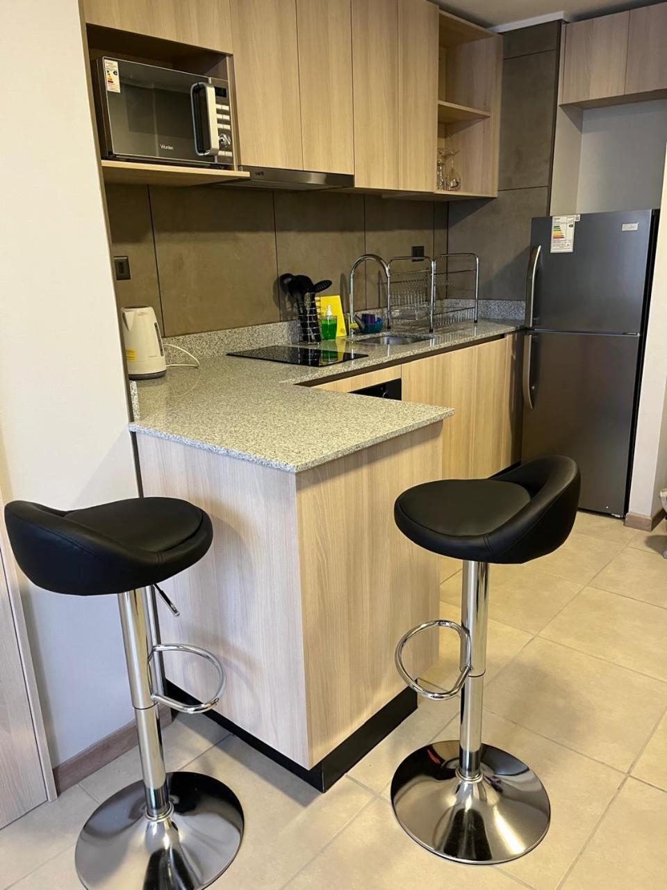Apartamento 914 Depto Pudeto 2 Personas Santiago