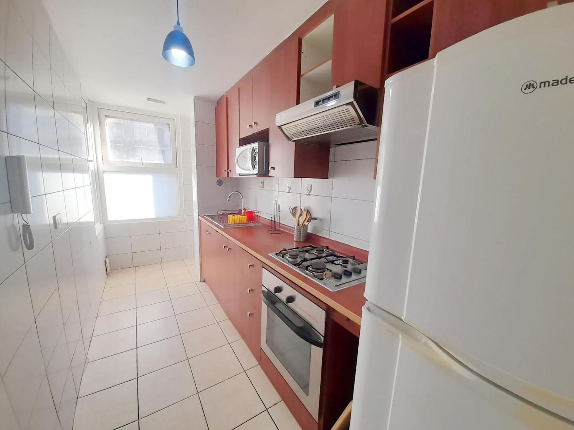 Apartamento Vip Chile Santiago de Chile