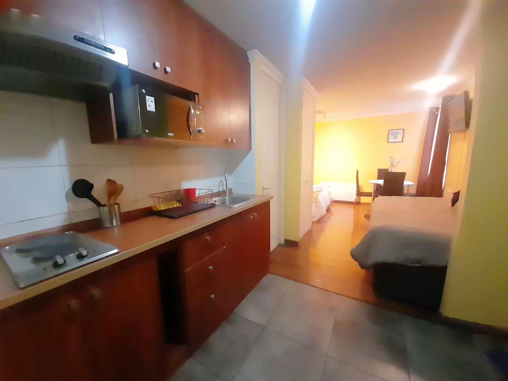 Vip Chile Apartamento Santiago de Chile