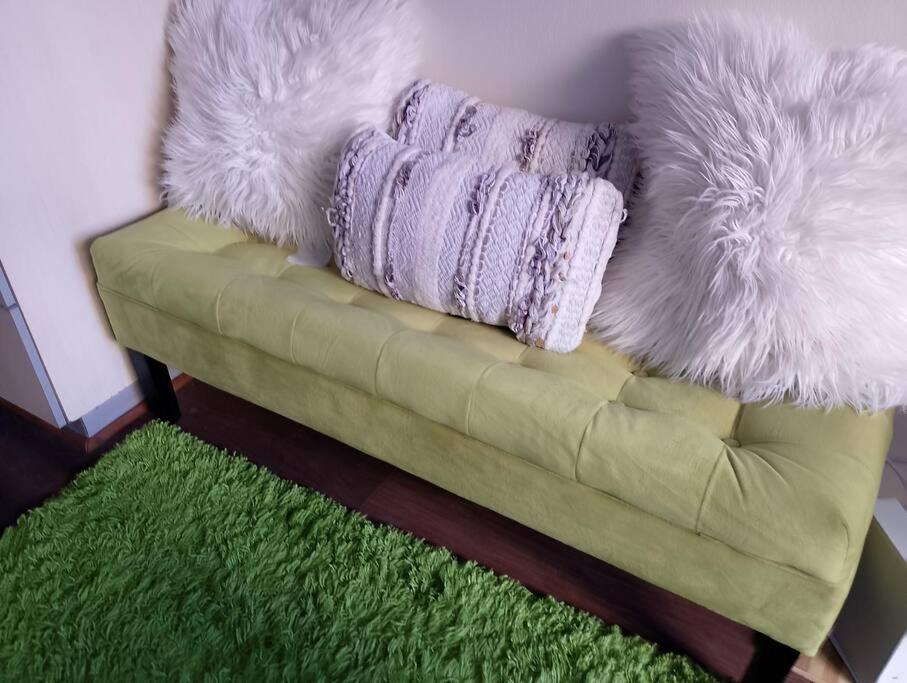 Apartamento Un Bombon En Centro Santiago