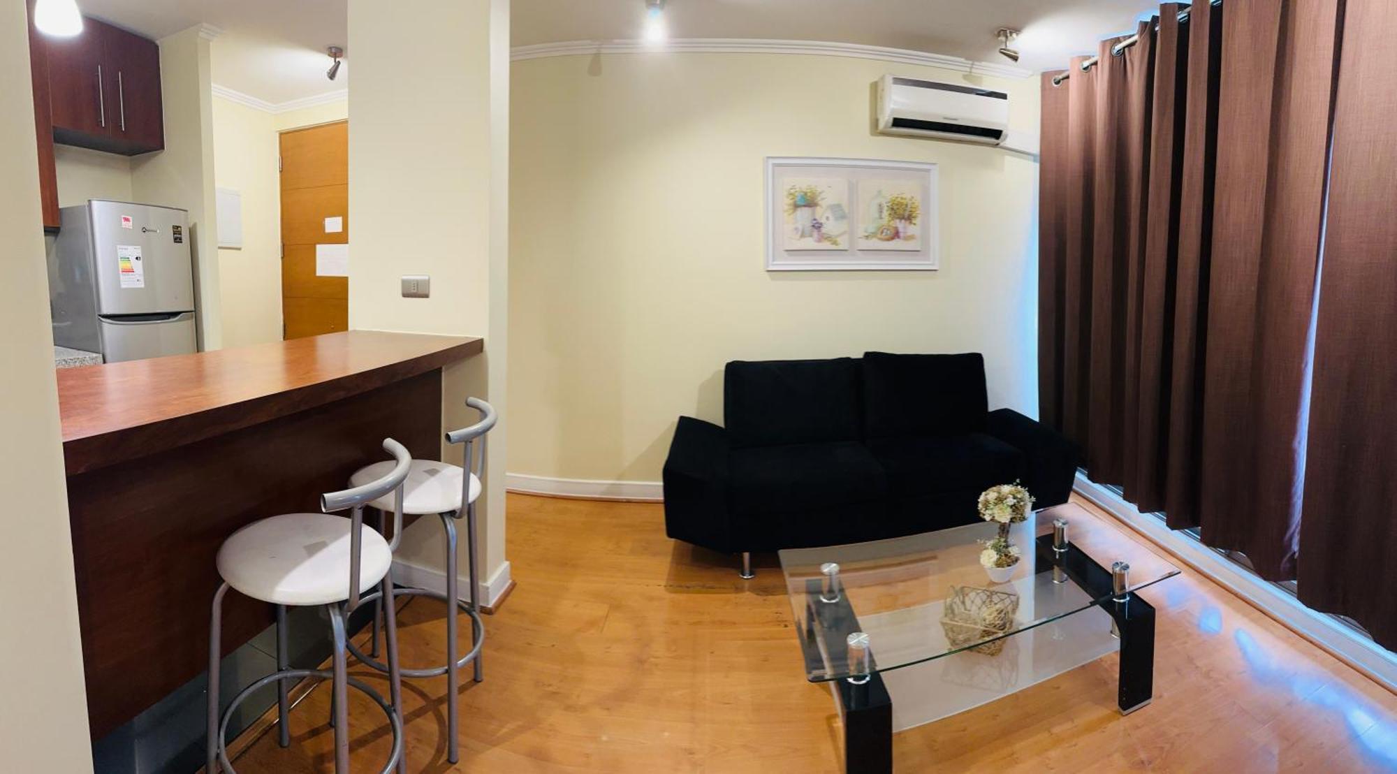 Apartamento Sector Turistico Y Ejecutivo, Providencia Santiago de Chile