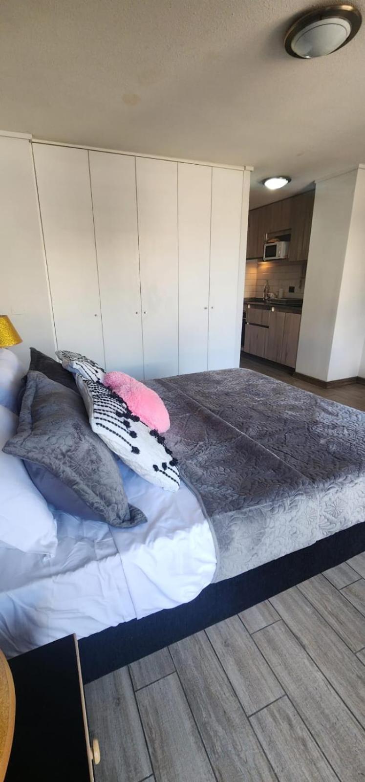 Loft Sorprendente Con Gym En Comuna Independencia Santiago