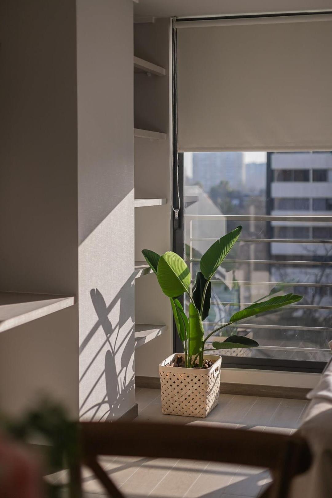 Apartamento Cozy In The Heart Of Nunoa Perfect For Two Santiago de Chile