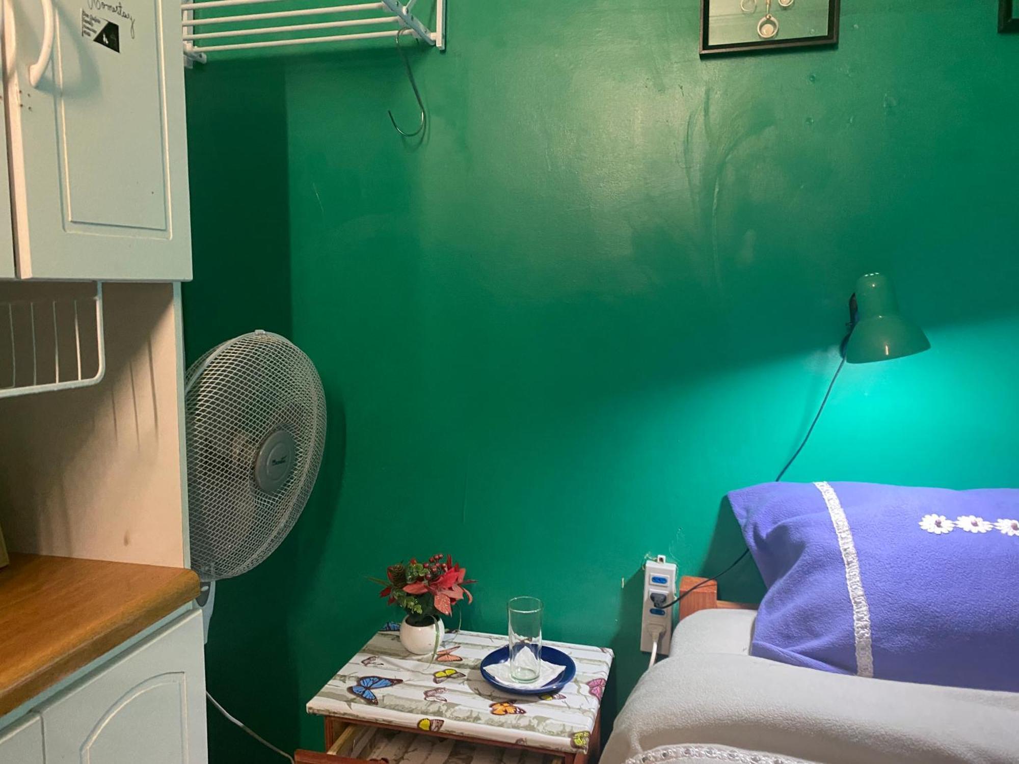 Don Quijote Family Homestay * Santiago de Chile