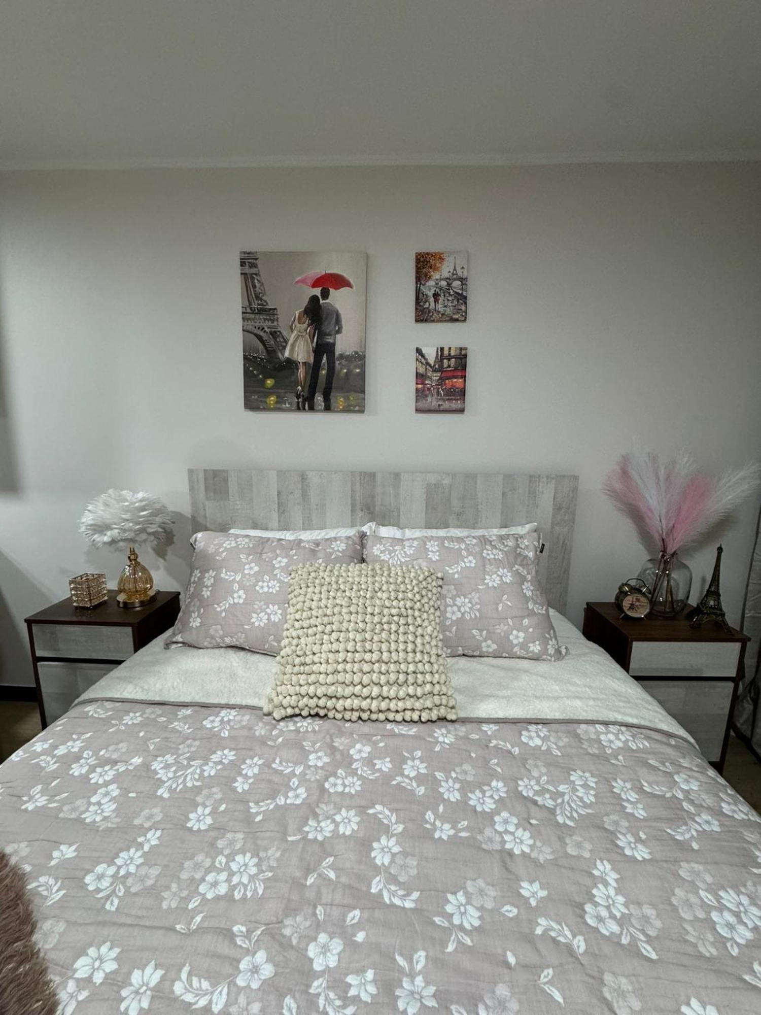 Paris En Santiago, Un Departamento De Lujo Apartamento