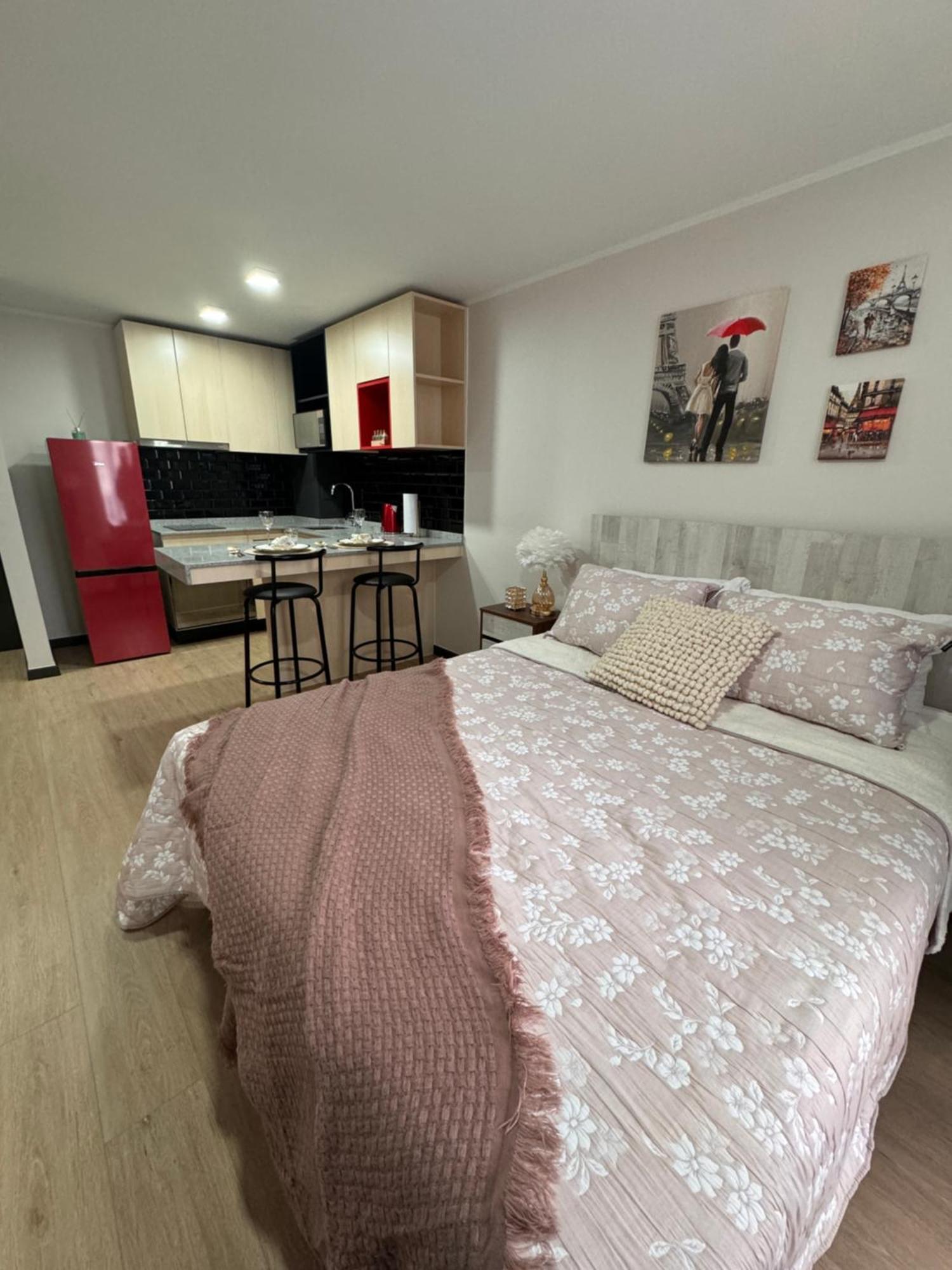 Paris En Santiago, Un Departamento De Lujo Apartamento