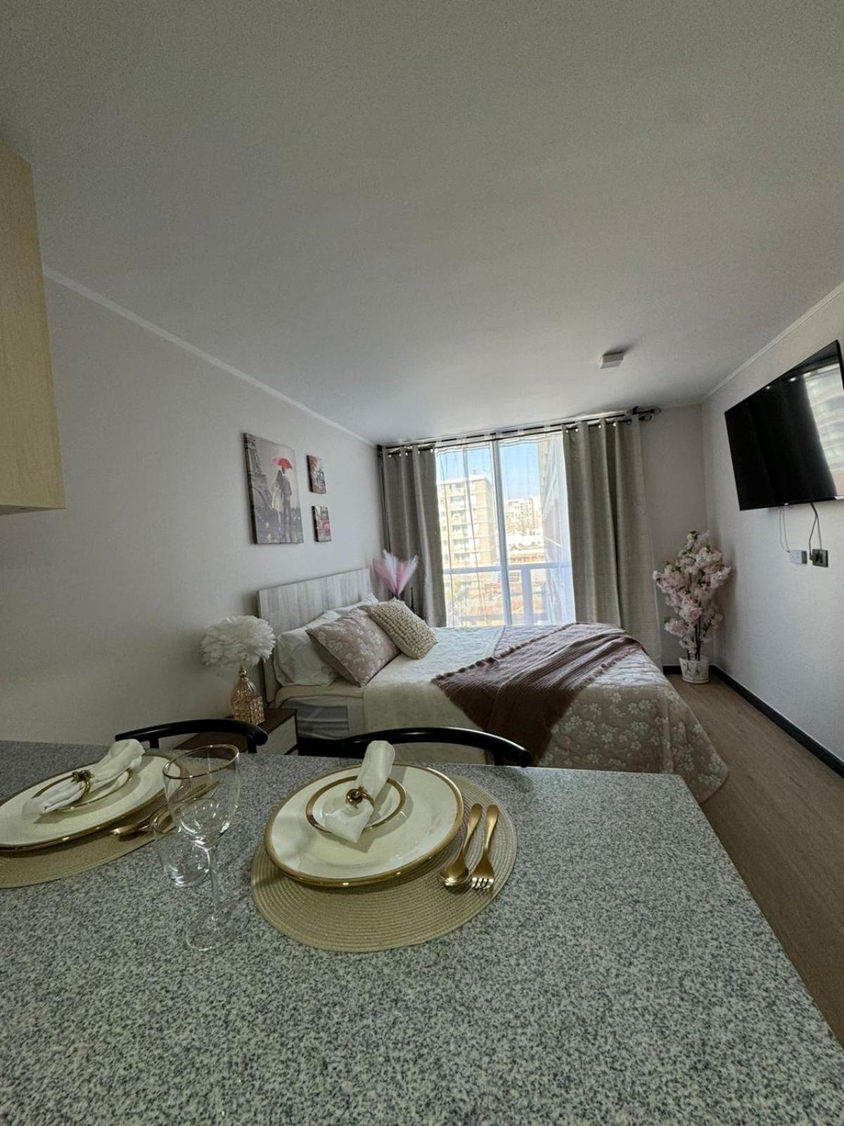 Paris En Santiago, Un Departamento De Lujo Apartamento *