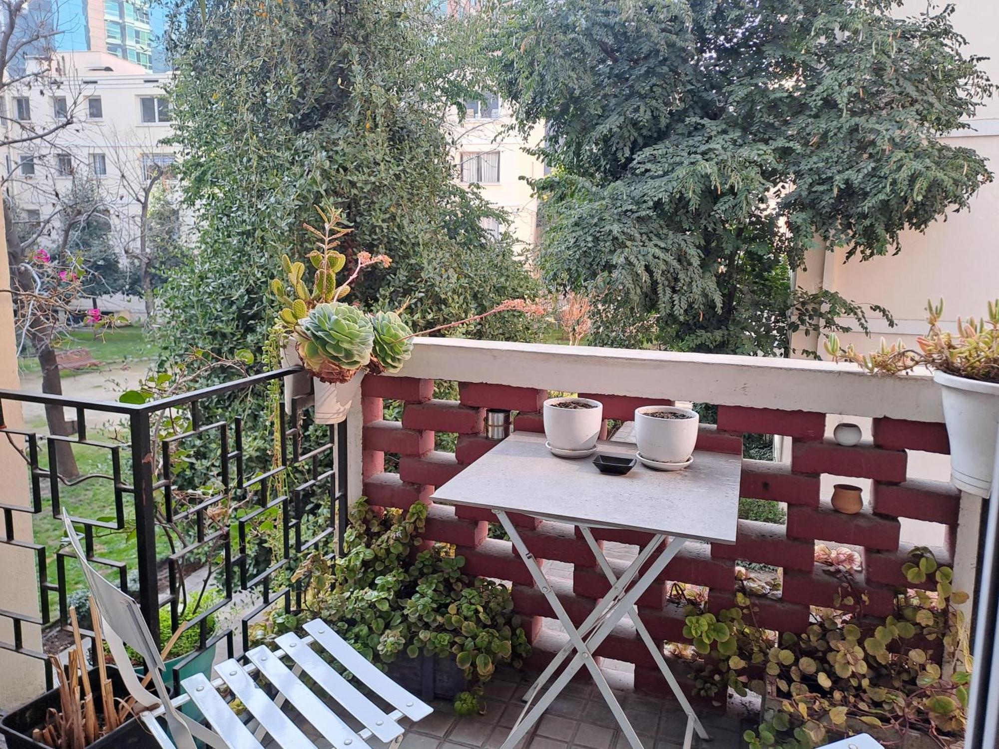 Apartamento Oasis En Providencia