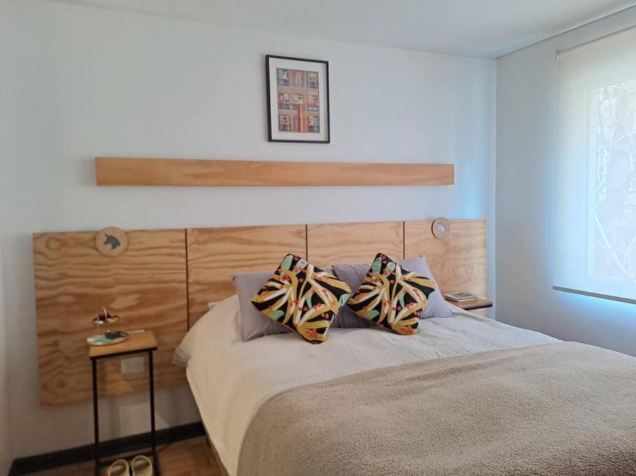Oasis En Providencia Apartamento