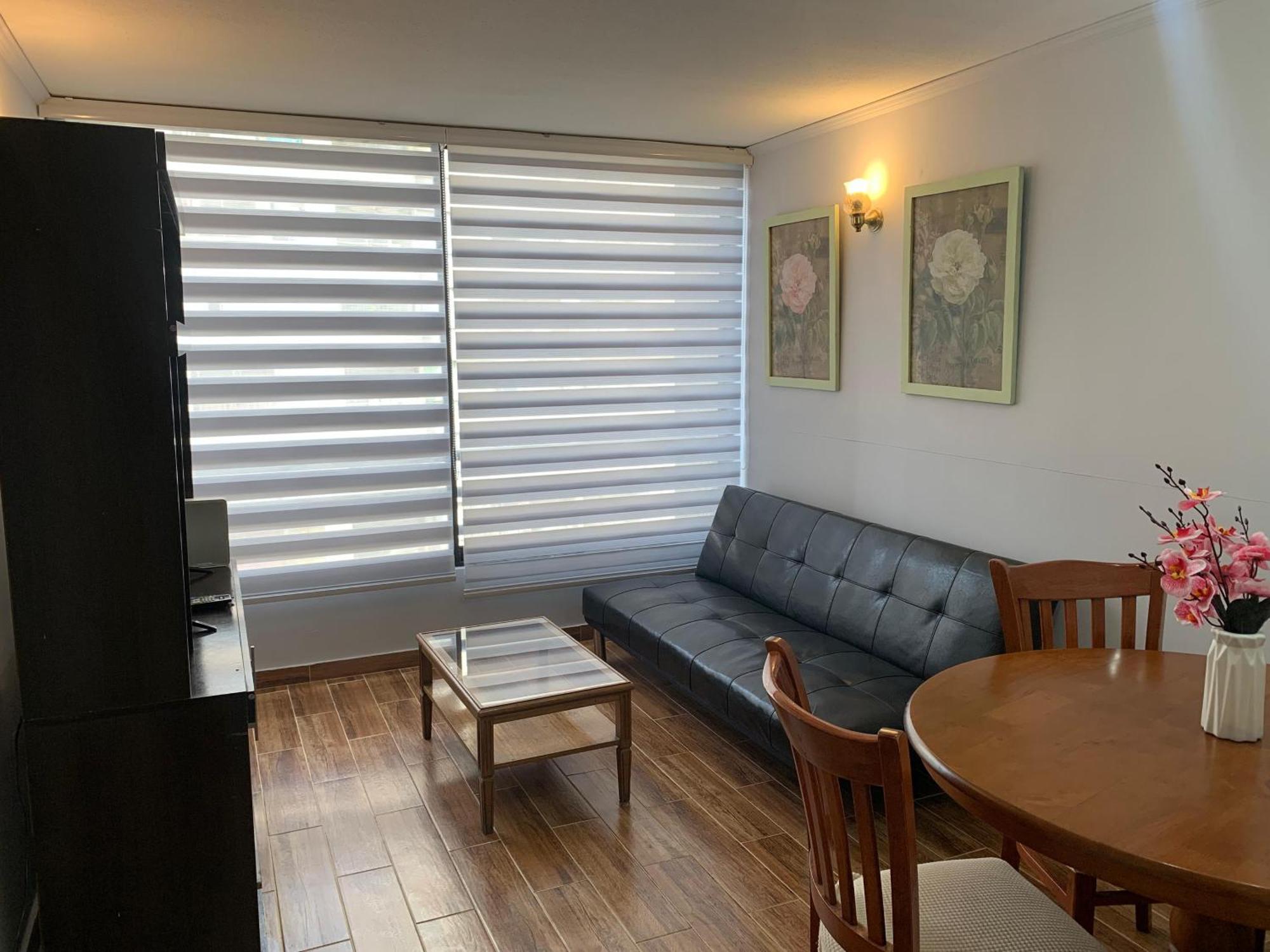 Apartamento Comodo Y Centrico En Apartamento Santiago