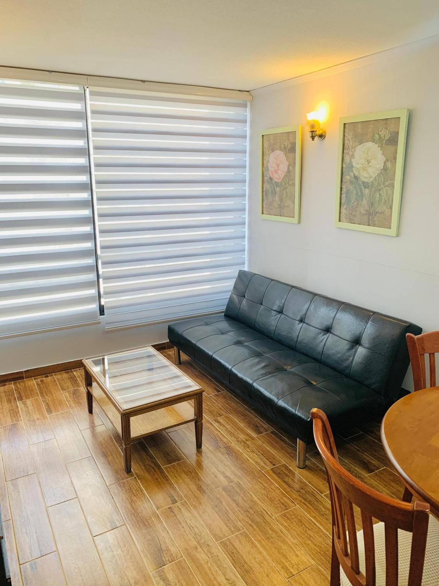 Apartamento Comodo Y Centrico En Apartamento Santiago