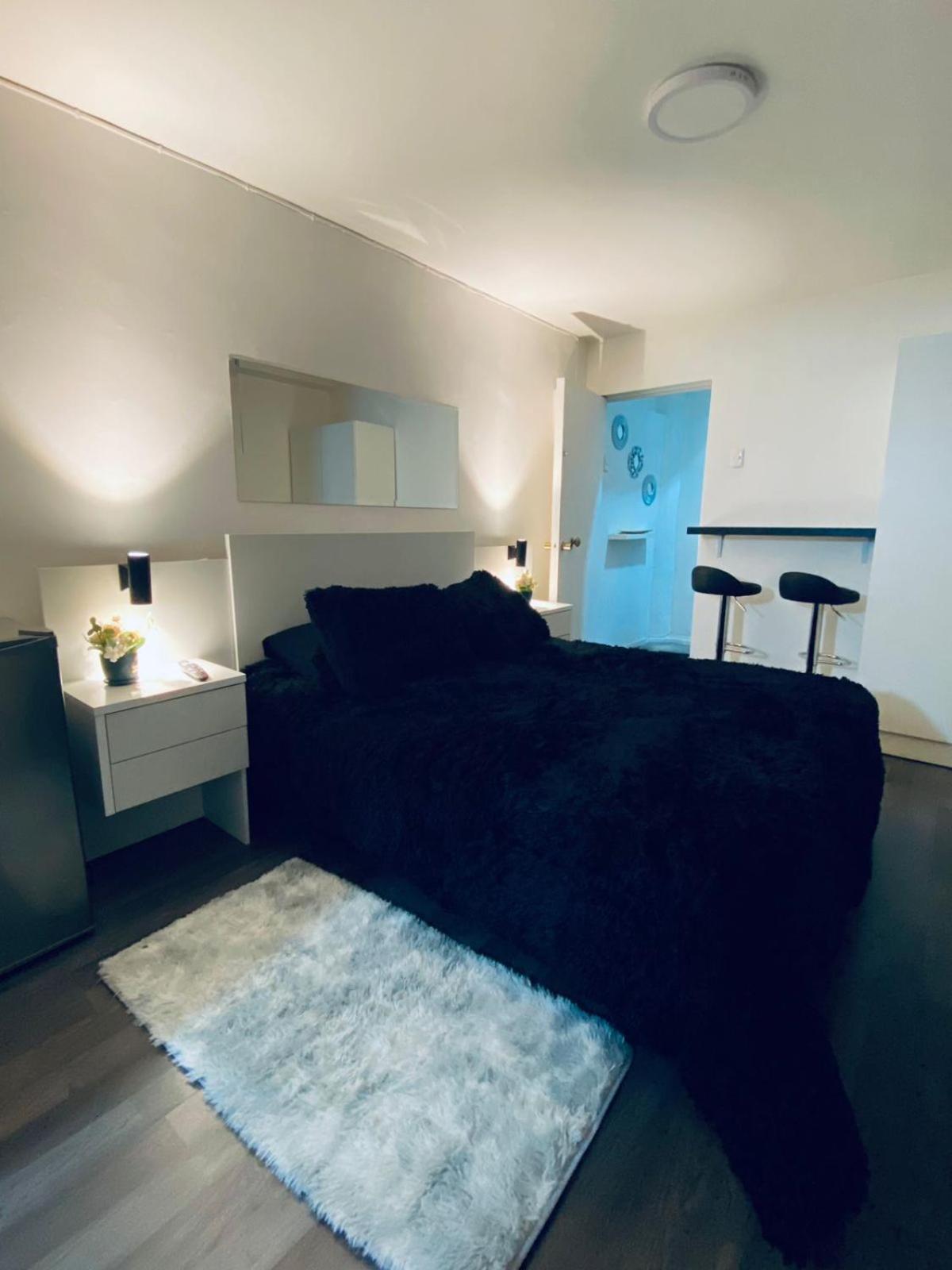 Studio Lastarrias Ii Apartment *