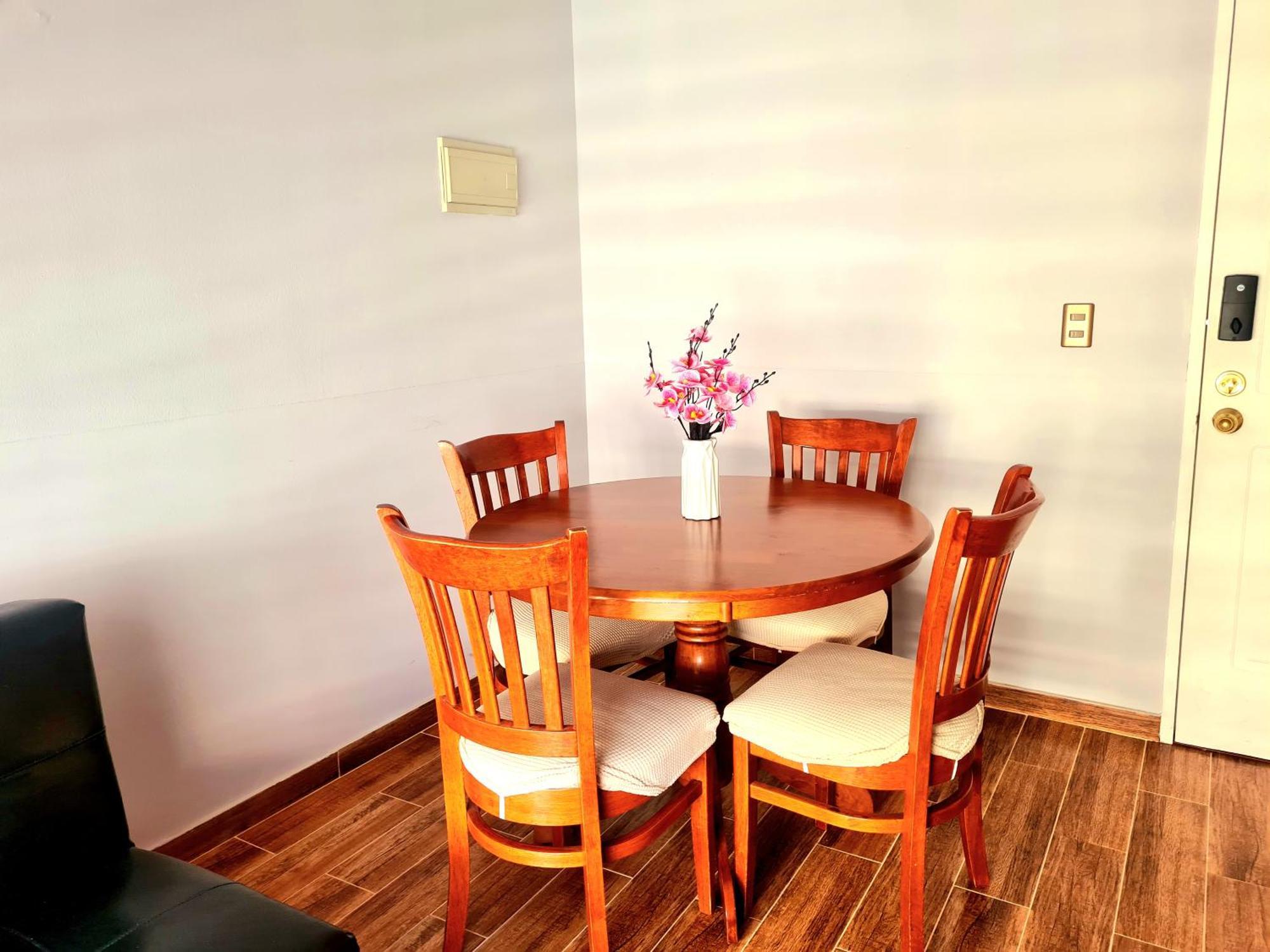 Apartment 1 Centro Santiago