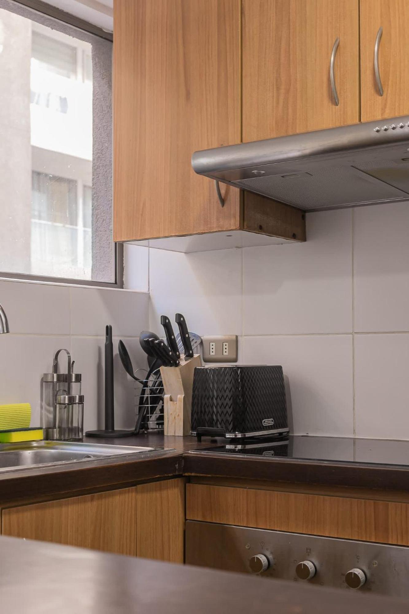 Apartamento Cozy Space In The Center Of The City Santiago