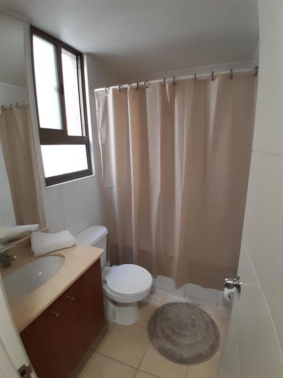 Apartment Bellavista Apartrent Santiago