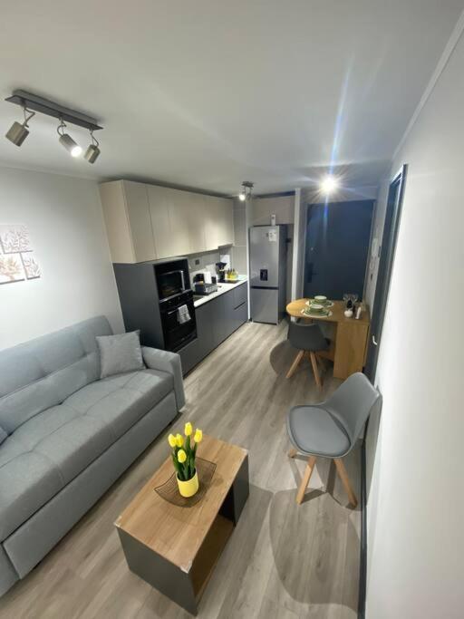 Apartamento Nuevo, Encantador Y Equipado Dpto En Santiago de Chile