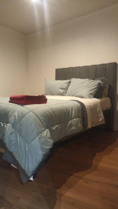 Lindo Y Comodo Dpto En El Corazon De Stgo , Al Lado De Metro Baquedano 1001 Apartamento *