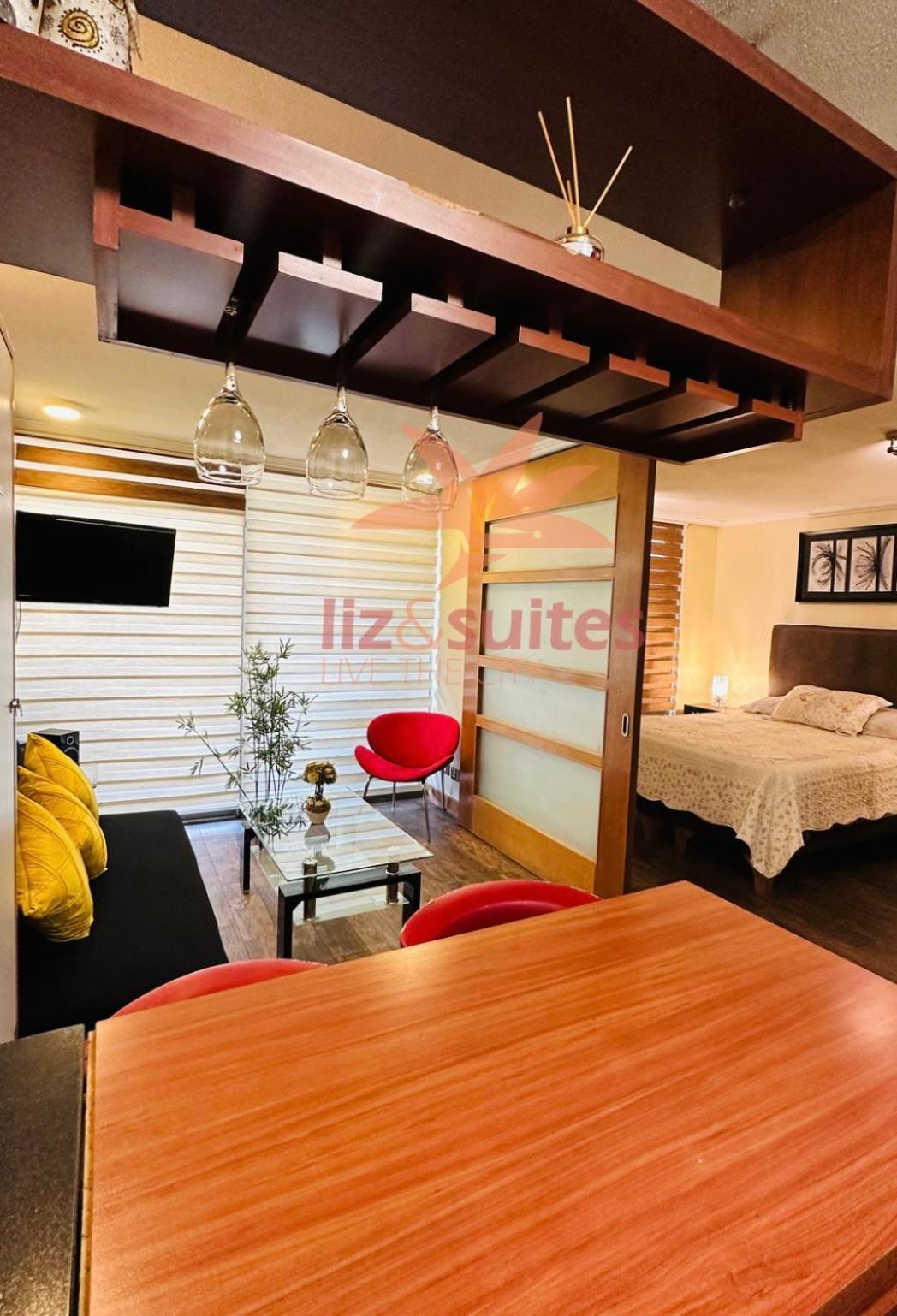 Apartamento Inmejorable Ubicacion, Sector Turistico Y Ejecutivo Providencia