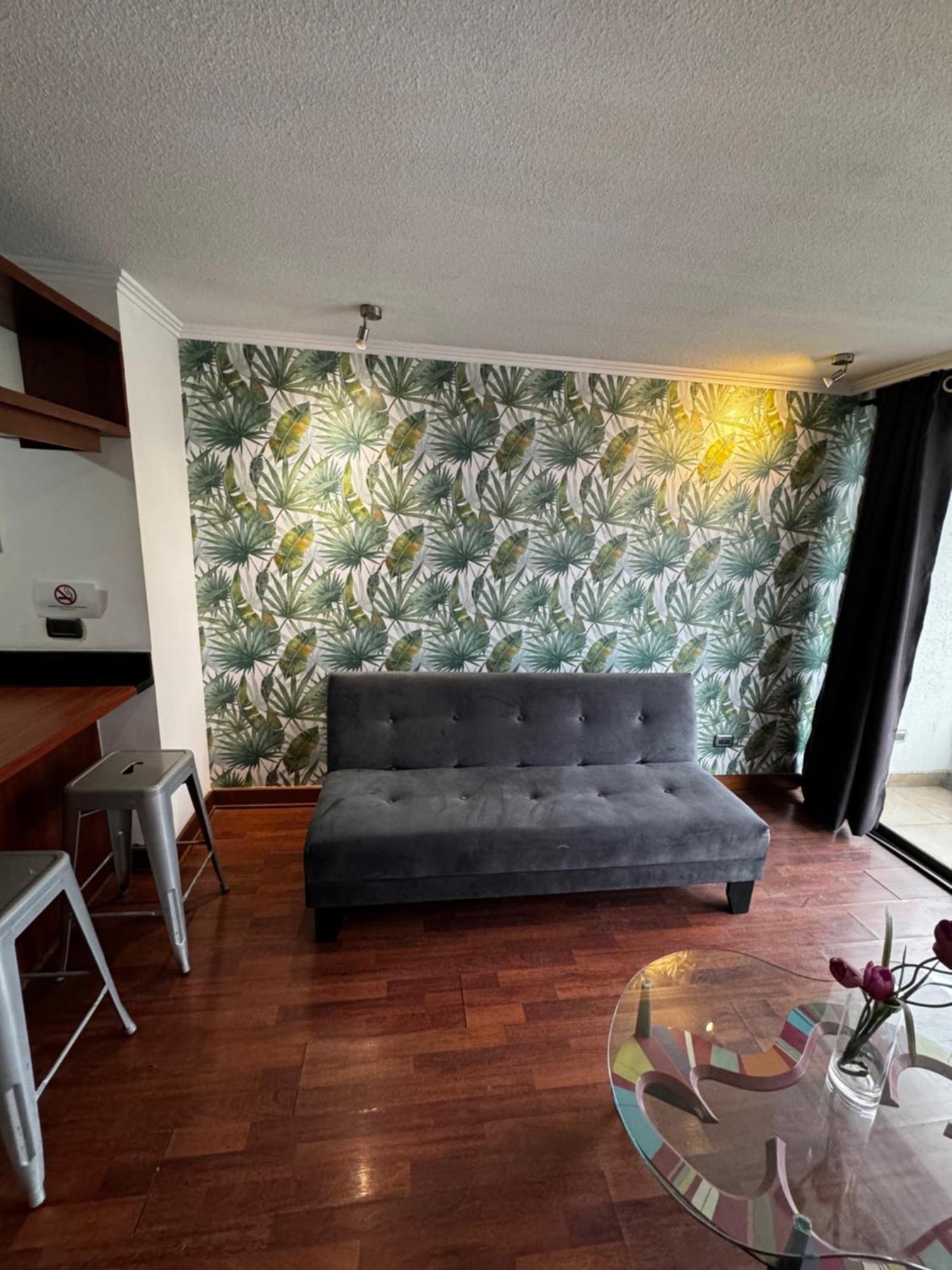 Andes Vista Providencia Apartamento *