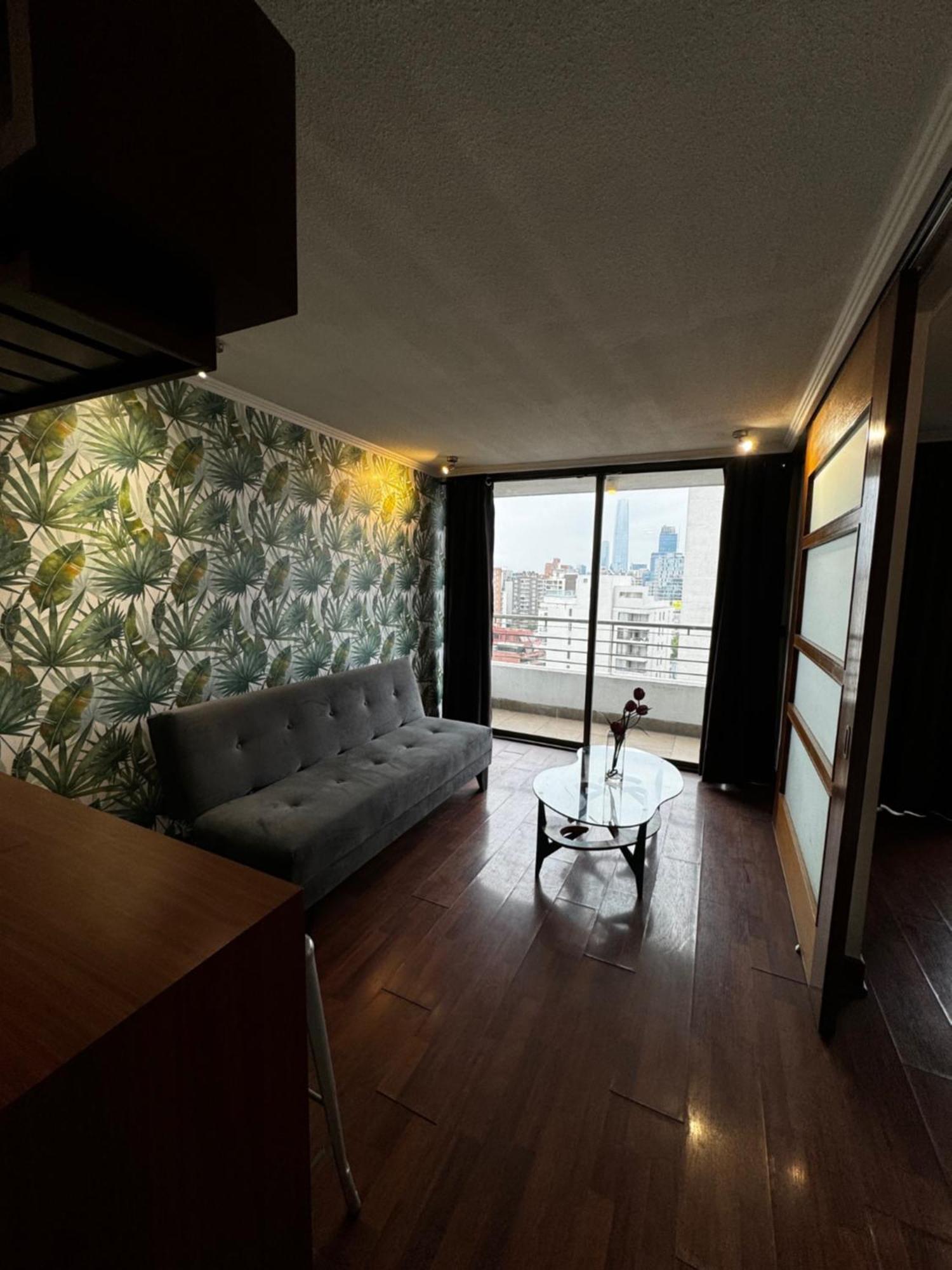Andes Vista Providencia Apartamento *