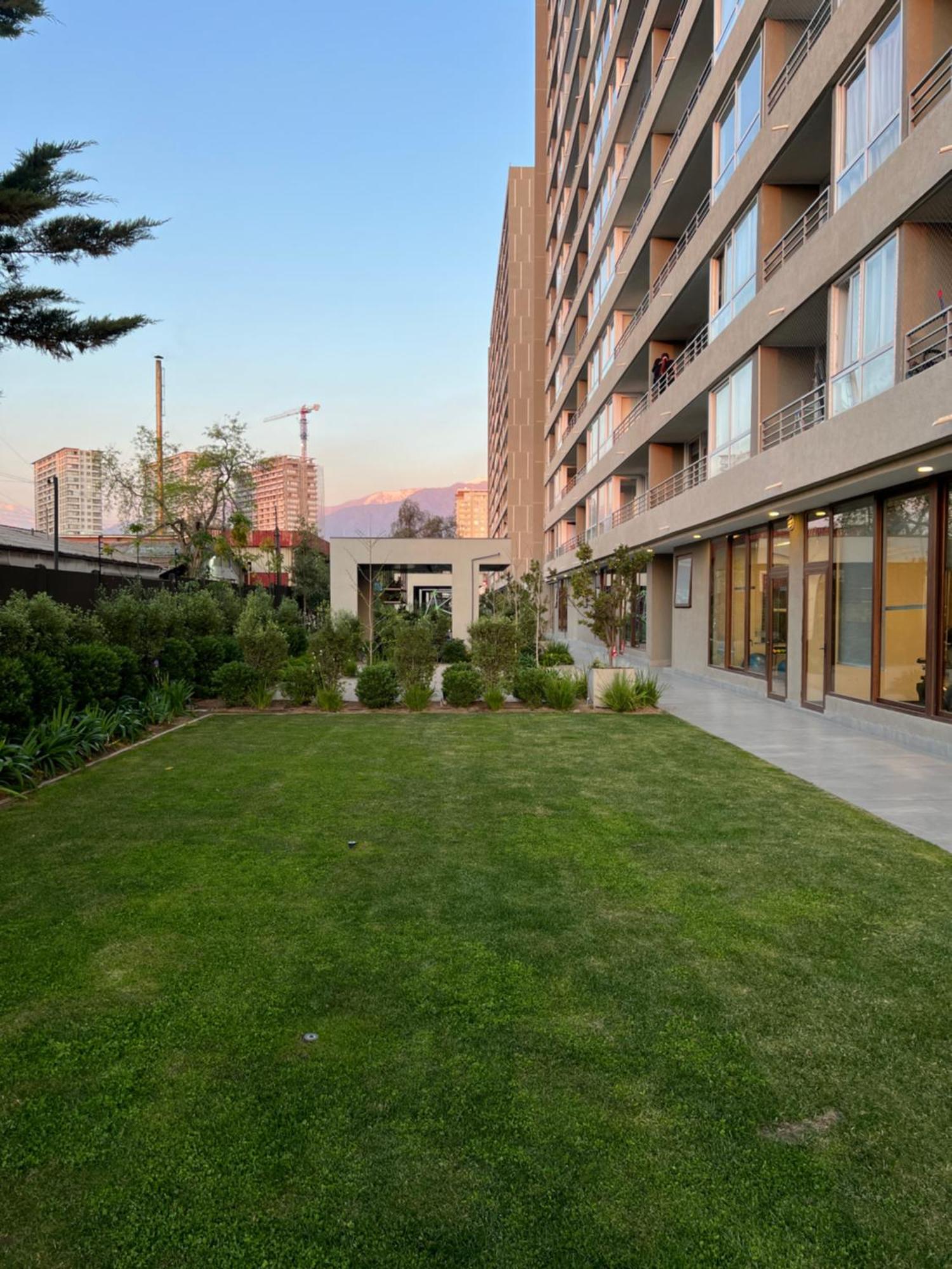 Loica Hosts * Santiago de Chile