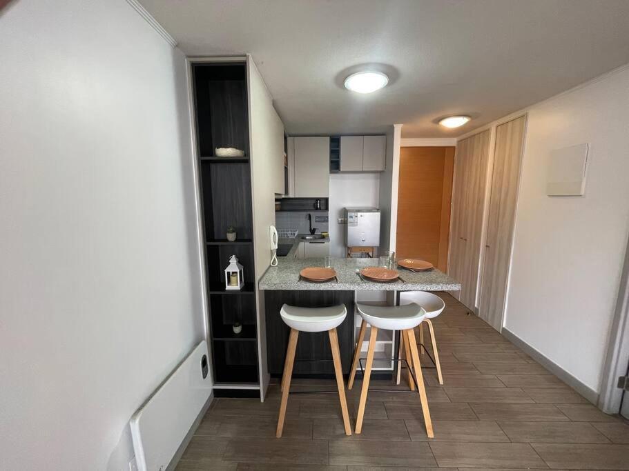 Departamento Renovado Cercano A Parque O'higgins Apartamento