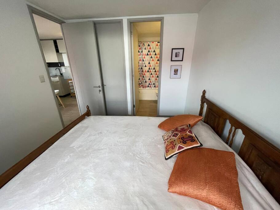Apartamento Departamento Renovado Cercano A Parque O'higgins *