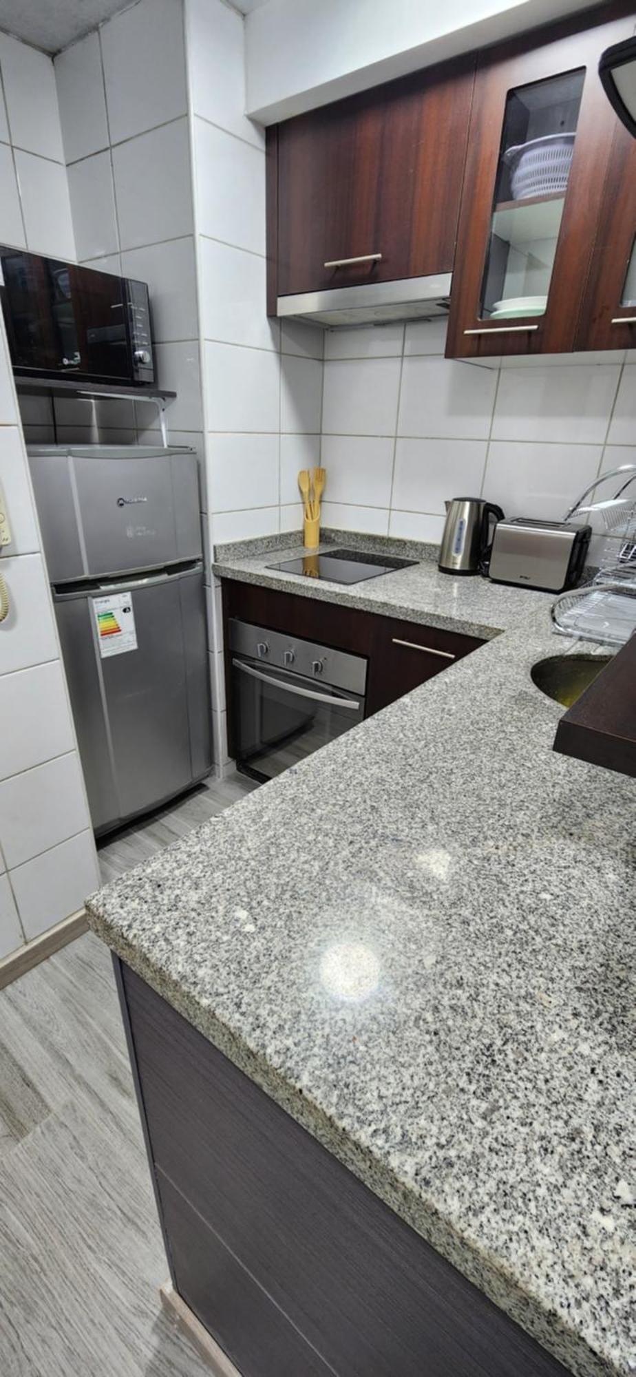 Apartment Comodo Y Renovado Dpto Santiago