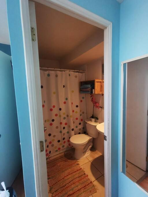 Departamento 2 2 Banos Centro Cercano Aeropuerto Y Clinicas Destacadas Apartamento *