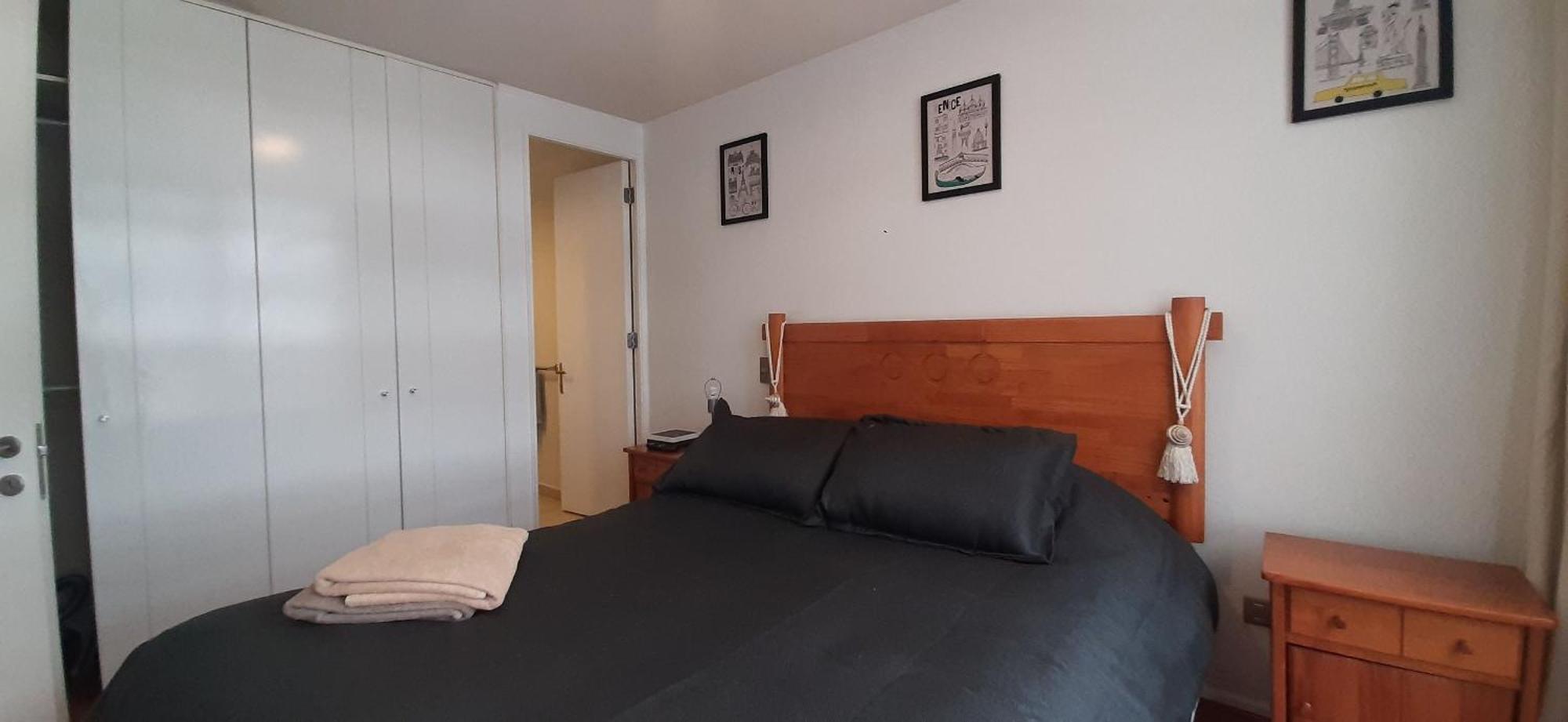 Apartamento Living Moneda *
