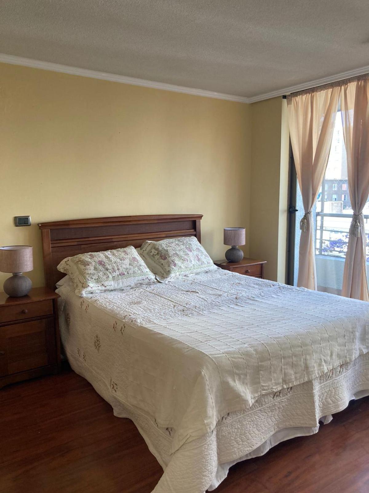 Apartamento Ale Santiago-providencia