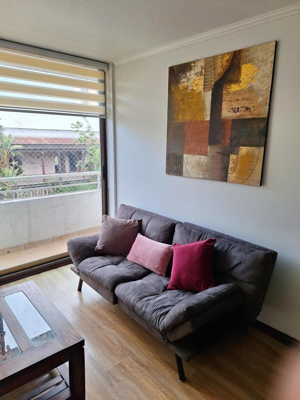 Esplendido Departamento En Providencia Apartamento