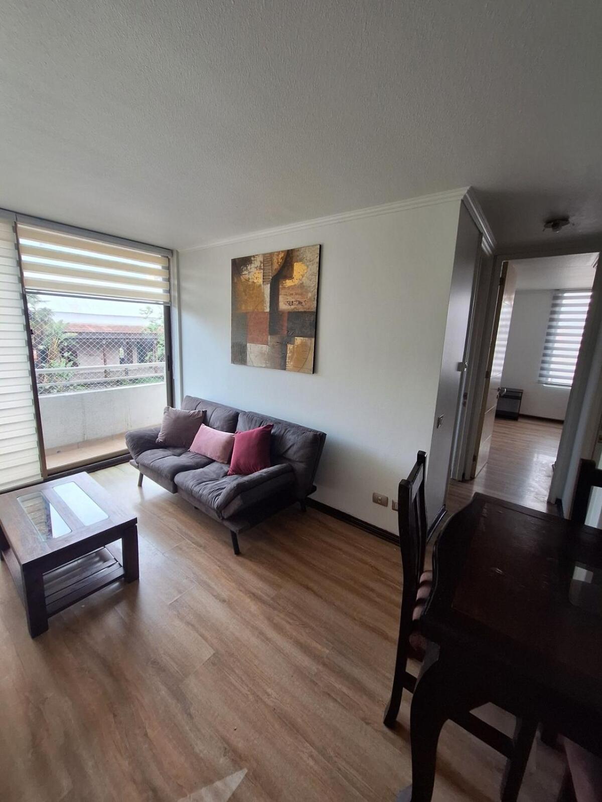 Esplendido Departamento En Providencia *