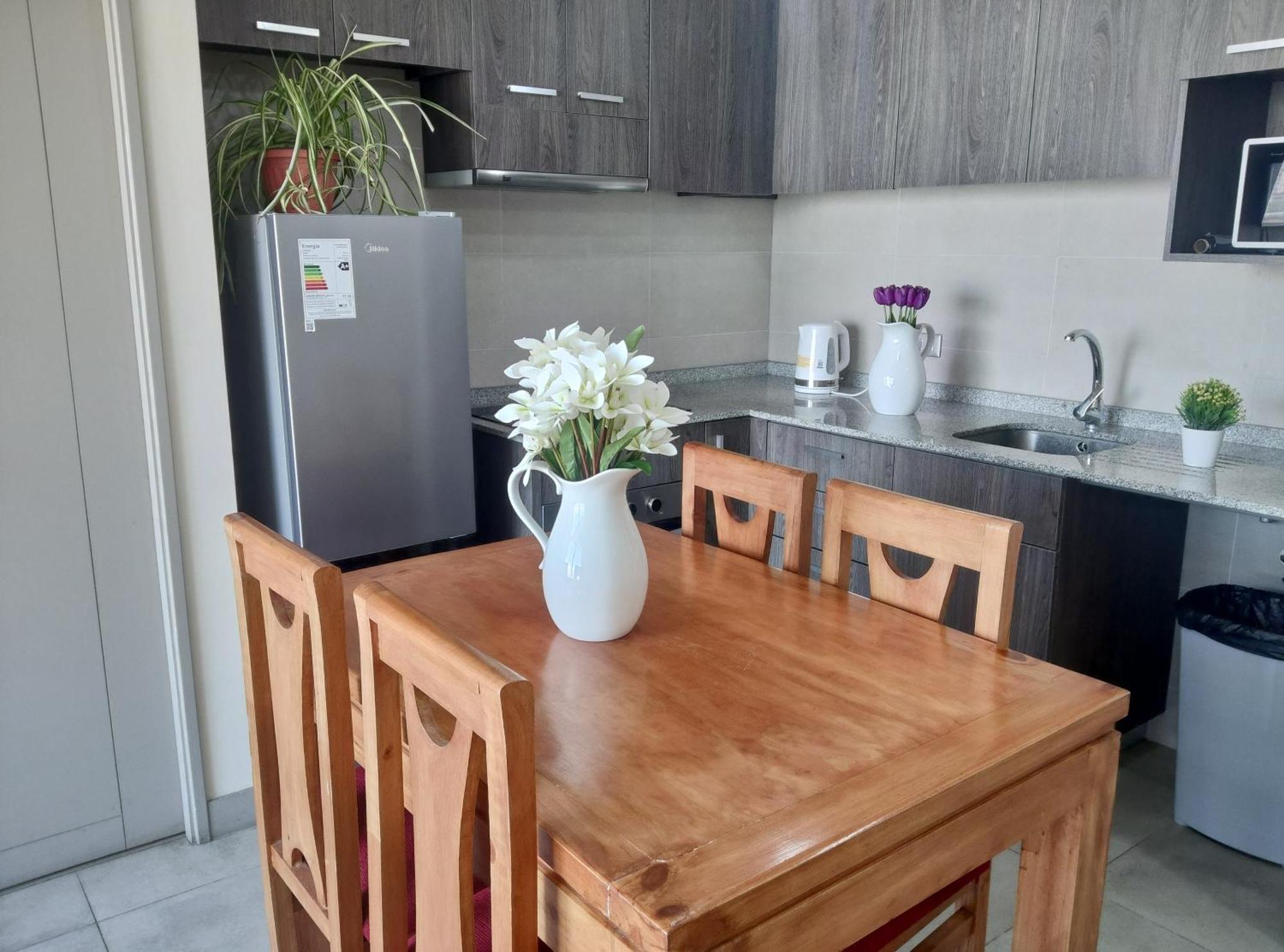 Apartamento Departamentos Amoblados Centro 1 Y 2 General Mackenna