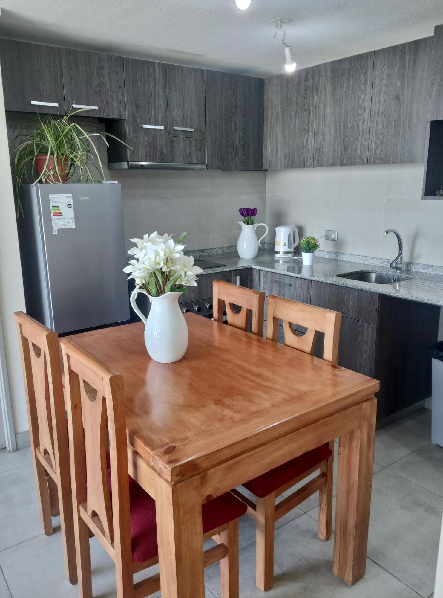 Apartamento Departamentos Amoblados Centro 1 Y 2 General Mackenna *