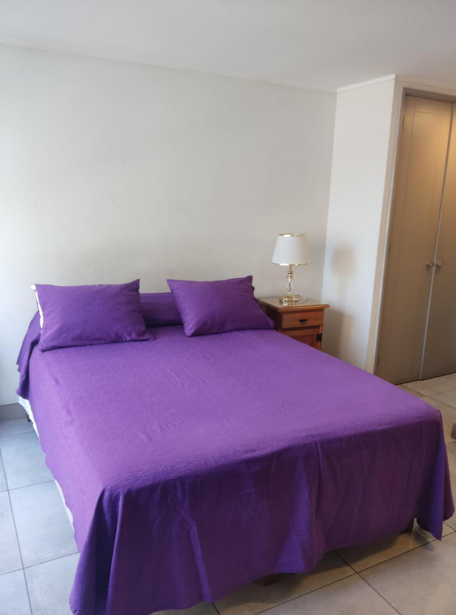Apartamento Departamentos Amoblados Centro 1 Y 2 General Mackenna