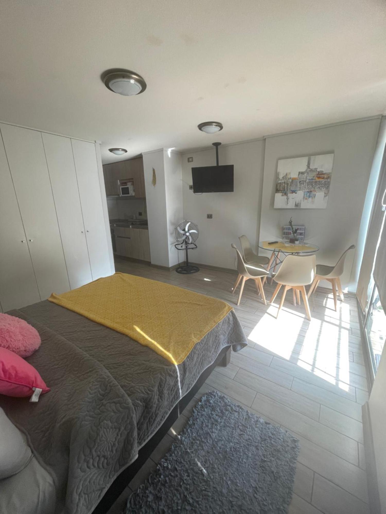 Loft Sorprendente Con Gym En Comuna Independencia * Santiago