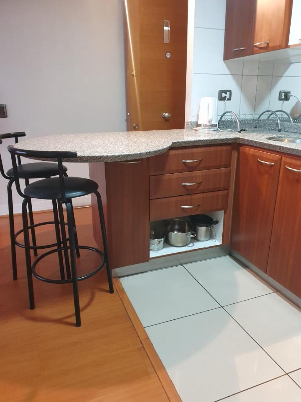 Apartamento Departamento En El Corazon De Providencia, Entre Metro Leones Y Pedro De Valdivia Santiago de Chile