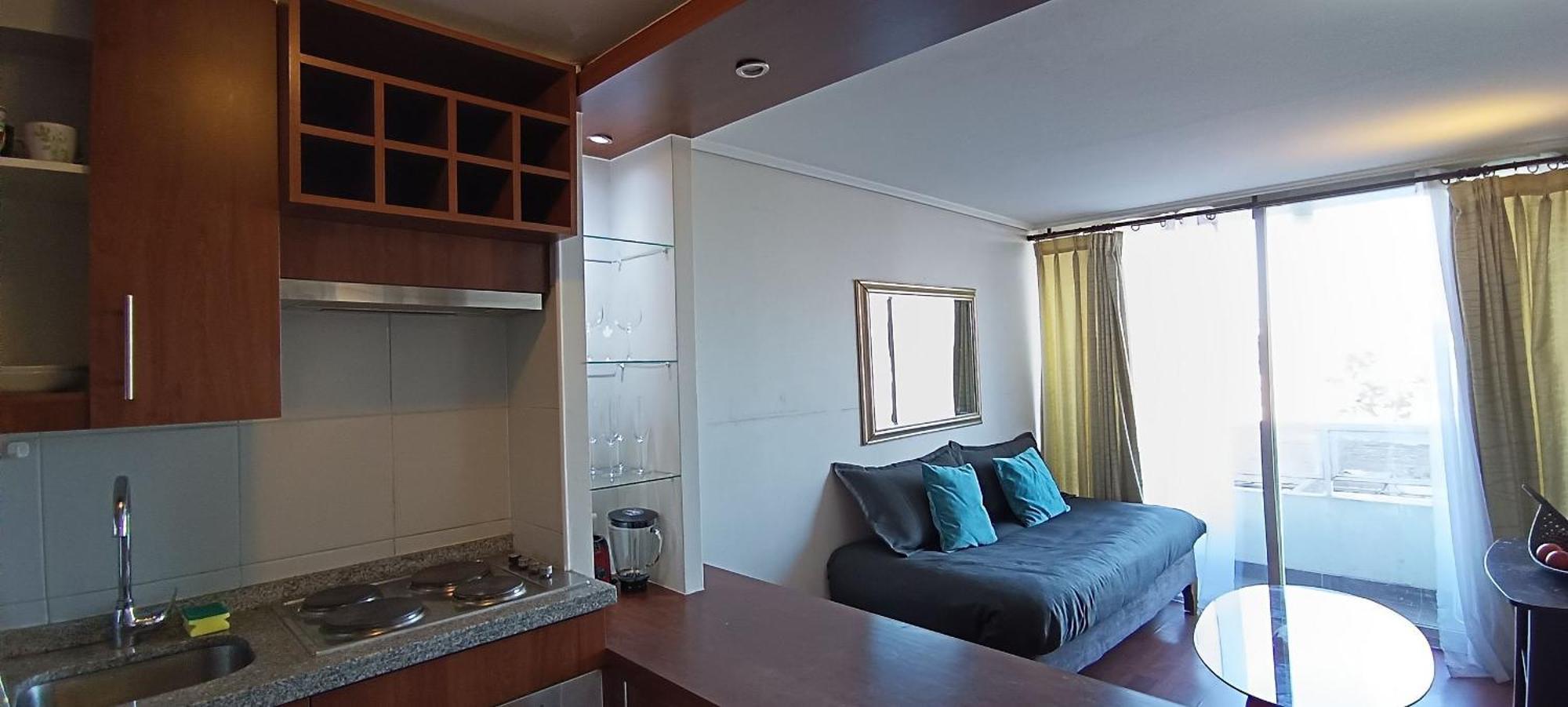 Apartamento Living Vicuna