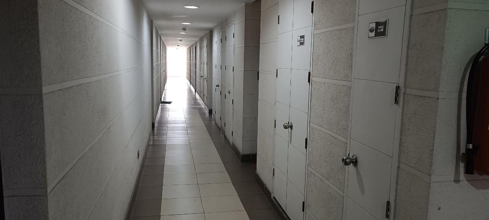 Apartamento Living Vicuna *