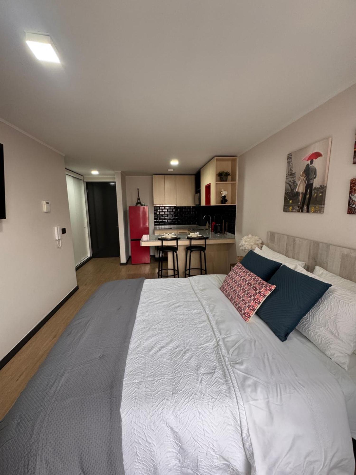 Paris En Santiago, Un Departamento De Lujo *