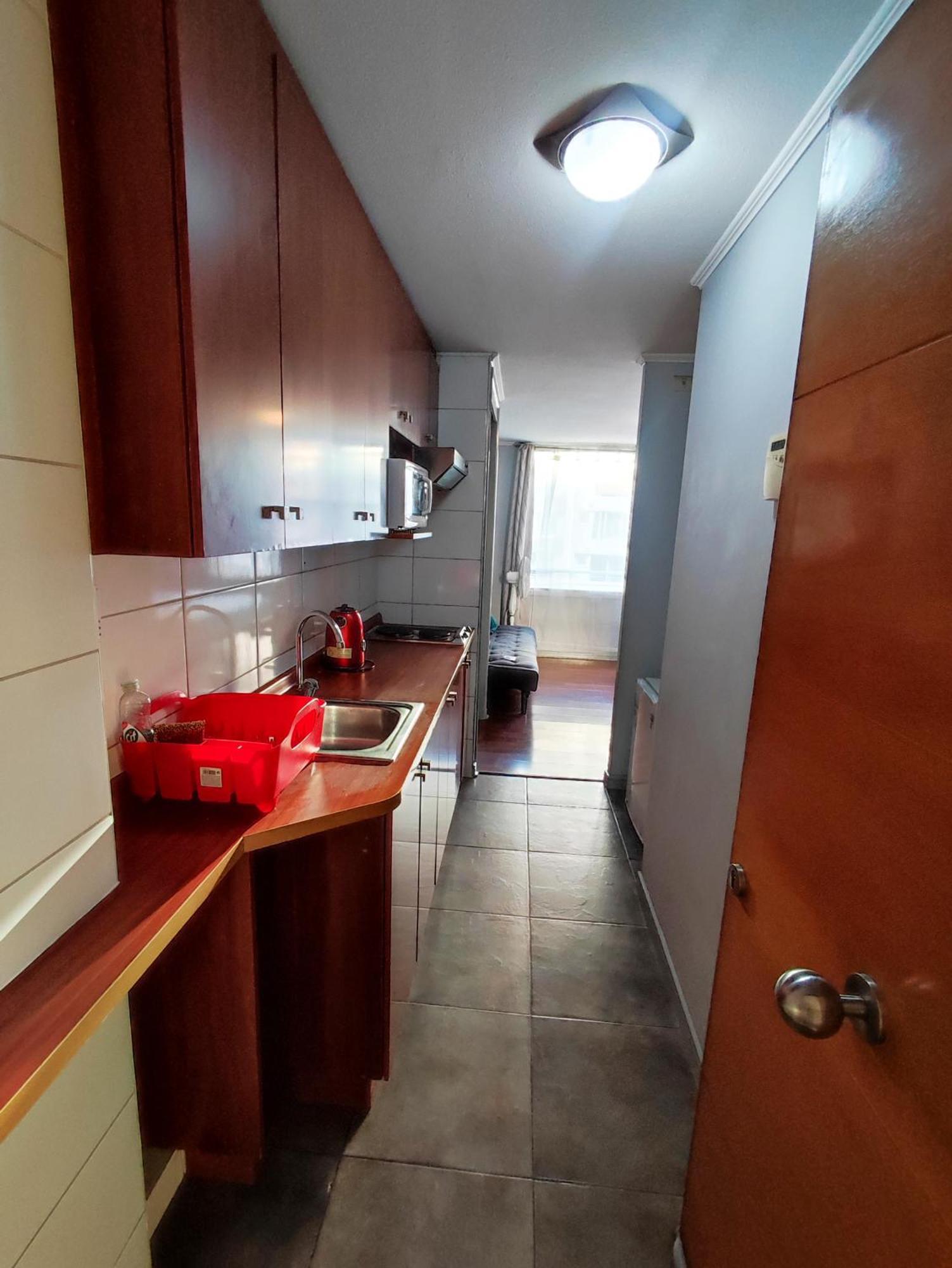 Gran Estudio 1 Ambiente * Santiago