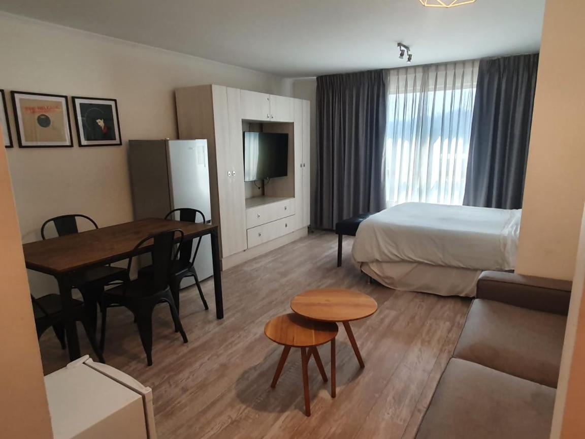 Departamento Centrico En Providencia , A Cuadra De Metro Y Muy Cercano A Costanera Center