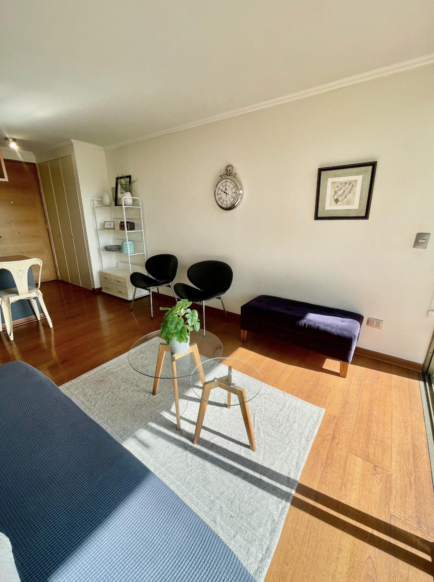 Apartamento Luminoso En Providencia *