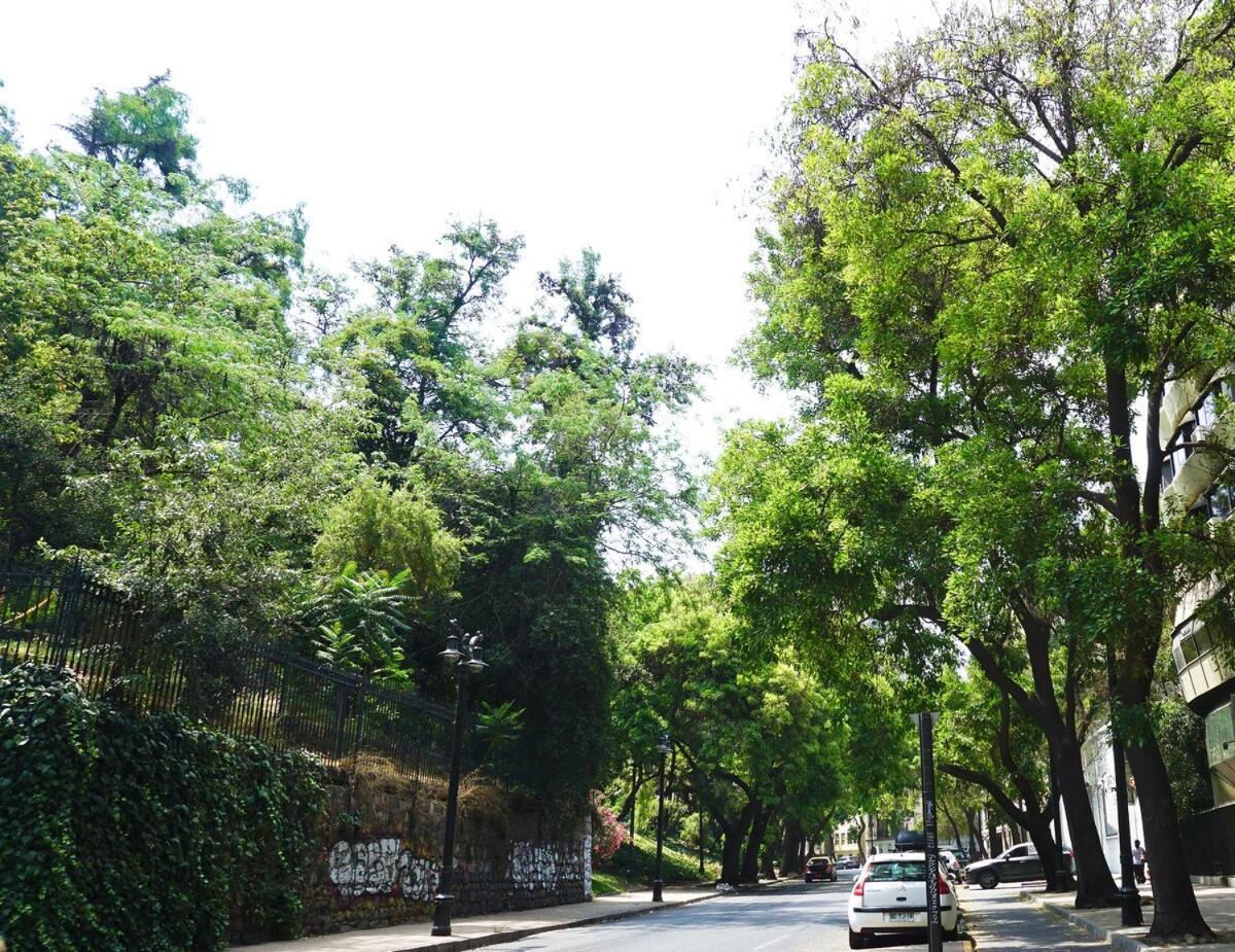 En Barrio Patrimonial A 3 Min Red De Metro, Wifi, Comodidad Santiago