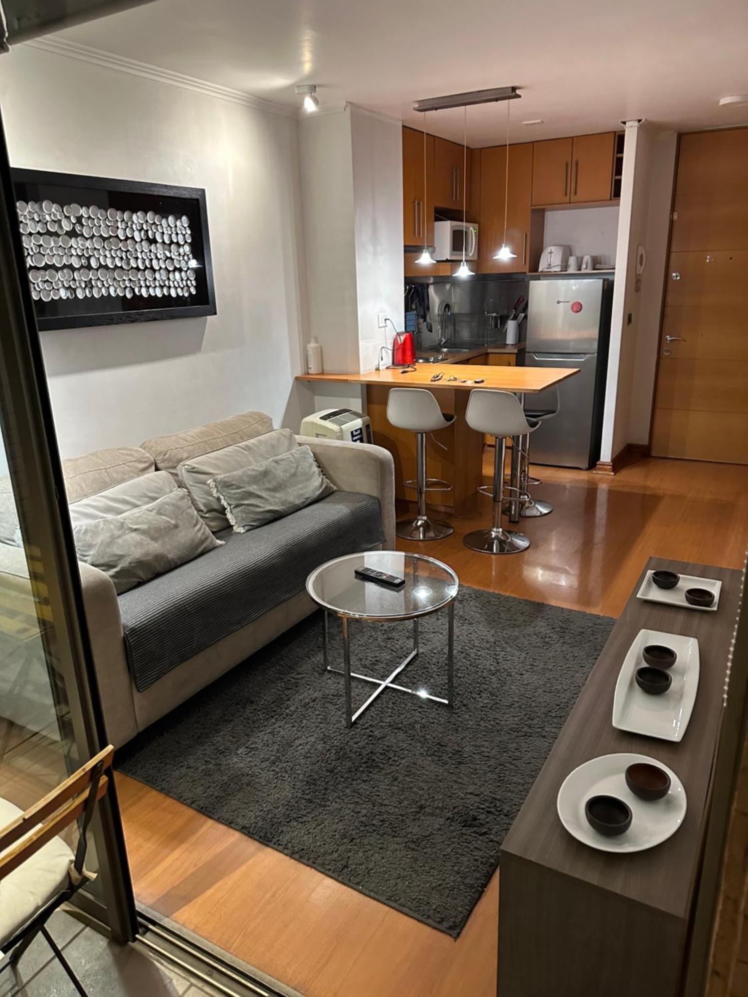 Precioso Departamento Providencia