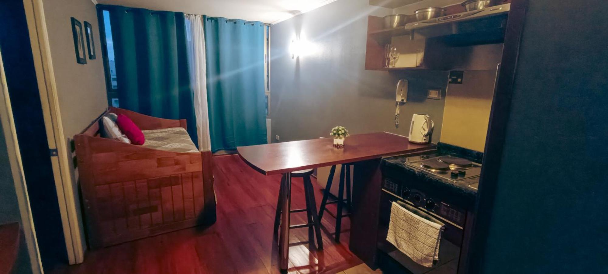 Departamentos Bulnes Apartment