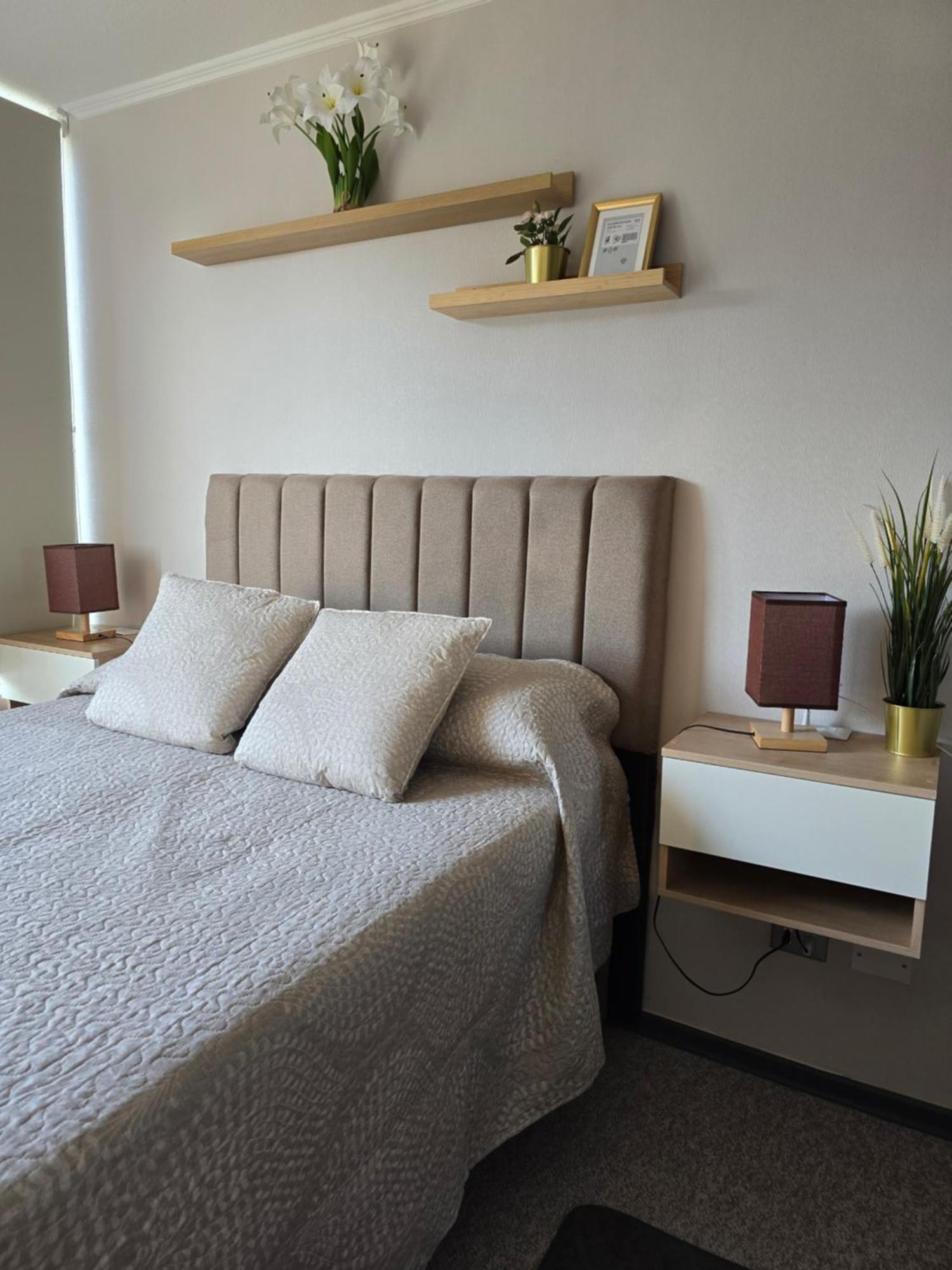 Apartamento Acogedor Y Moderno Departamento En El Centro Providencia *